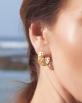 Hexagon Coral Earrings - Gold Vermeil