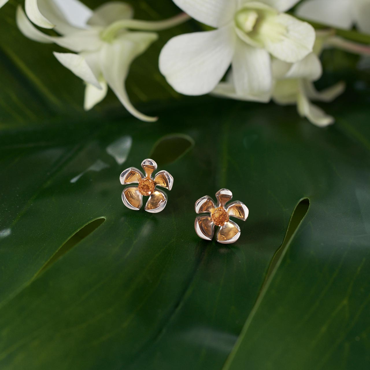Orchid Garden Stud Earrings